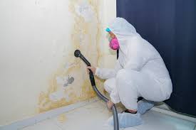 Best Comprehensive Air Testing for Mold Contaminants  in Mcsherrystown, PA